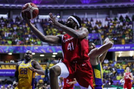 21 Lloyd pandi Stock Pictures, Editorial Images and Stock Photos