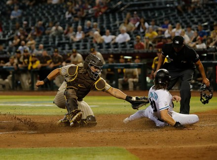 2,000 Jorge alfaro Stock Pictures, Editorial Images and Stock