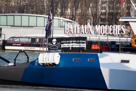 trimaran brigitte bardot sea shepherd