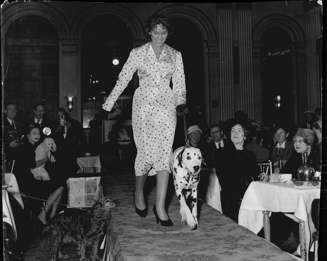 Yvonne Romain Born Yvonne Warren A British Film And Television Actress Of The Late 1950s And 1960s. Yvonne Wearing A Spotted Dress That Matches Her Dalmation Dog.
