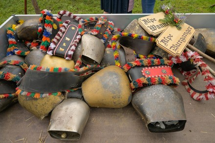 750 Cowbells Stock Pictures, Editorial Images and Stock Photos