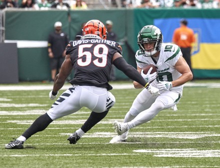 Cincinnati Bengals Linebacker Akeem Davisgaither 59 Editorial Stock Photo -  Stock Image