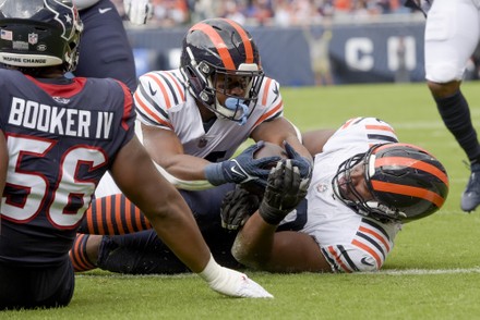 Chicago Bears Roquan Smith 58 Intercepts Editorial Stock Photo - Stock  Image