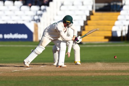 Louis Kimber Plays Ball Past Harry Editorial Stock Photo - Stock Image