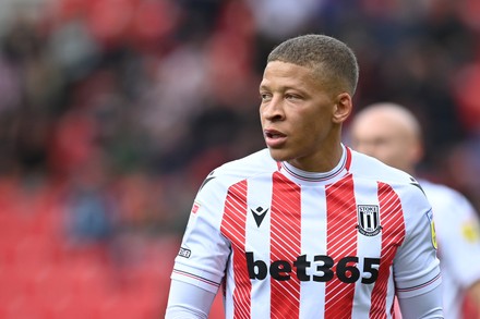 Fulham Players Unhappy Referee Josh Smith Editorial Stock Photo