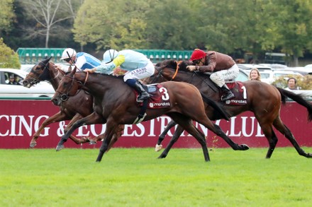 3 000 Longchamp Racecourse Stock Pictures Editorial Images And Stock   Shutterstock 13435575a 