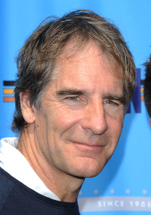 Scott Bakula Editorial Stock Photo - Stock Image | Shutterstock