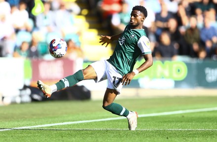 Bali Mumba Plymouth Argyle Editorial Stock Photo Stock Image