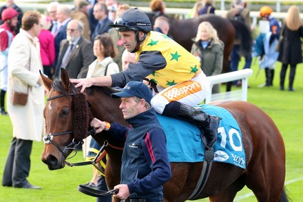 3,000 Winners Enclosure Stock Pictures, Editorial Images And Stock 