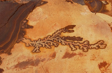 Manganese Dendrites Rock Petra Jordan February Editorial Stock Photo ...
