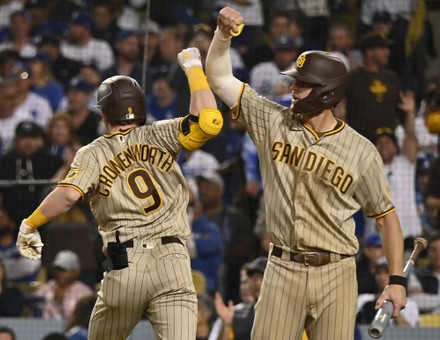 San Diego Padres Second Baseman Jake Editorial Stock Photo - Stock Image