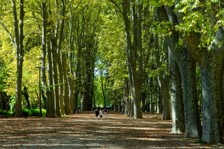 1 Parc de la devesa Stock Pictures, Editorial Images and Stock Photos