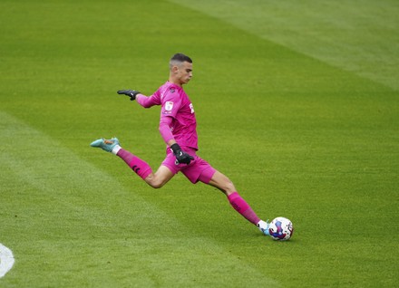 500 Nik tzanev Stock Pictures, Editorial Images and Stock Photos