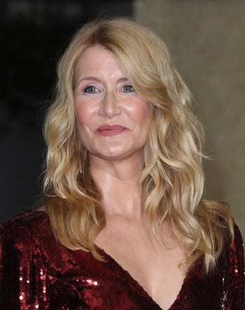 Laura Dern Editorial Stock Photo - Stock Image | Shutterstock