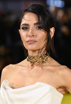 Sarah Shahi Editorial Stock Photo - Stock Image | Shutterstock