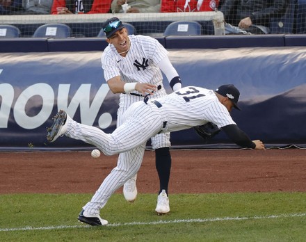 New York Yankees Shortstop Oswaldo Cabrera Editorial Stock Photo - Stock  Image