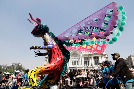 250 Alebrijes parade Stock Pictures, Editorial Images and Stock Photos ...