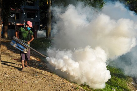 55 Dengue eradication Stock Pictures, Editorial Images and Stock Photos ...