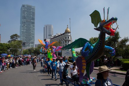 250 Alebrijes parade Stock Pictures, Editorial Images and Stock Photos ...