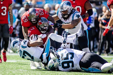 Carolina Panthers linebacker Damien Wilson Carolina Panthers