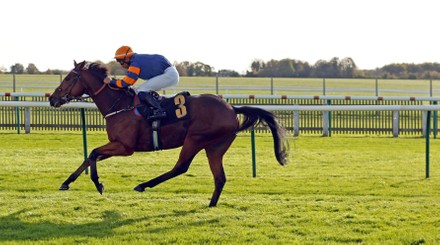 Turntable Kaiya Fraser Wins Newmarket Beacon Editorial Stock Photo ...