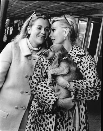 Actress Zsa Zsa Gabor Arrives At London Heathrow Airport Met By Her Daughter Francesca Hilton And Her Spaniel Puppy Dog ' Paul Mccartney'