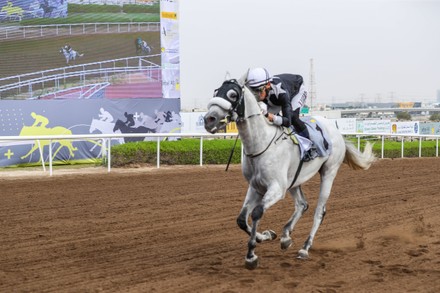 __COUNT__ Horse Racing, Domestic Meeting, Flat racing dirt surface ...