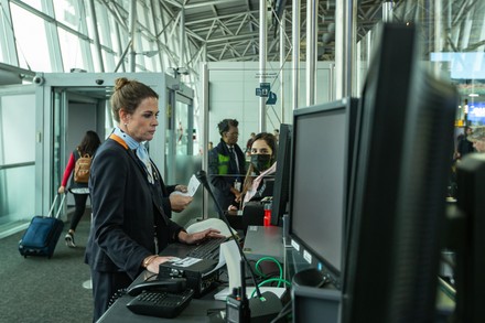 Illustration Picture Shows Flight Attendants Working Editorial Stock