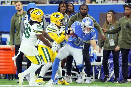 Detroit Lions Mascot Roary Runs On Editorial Stock Photo - Stock Image