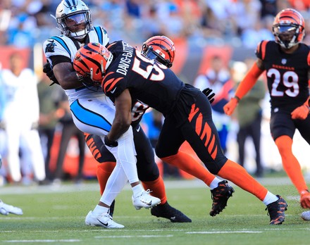 Cincinnati Bengals Linebacker Akeem Davisgaither 59 Editorial Stock Photo -  Stock Image