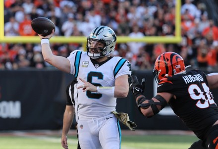 Carolina Panthers at Cincinnati Bengals, November 6, 2022 