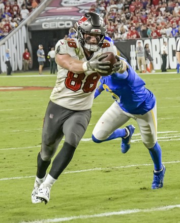 Tampa Bay Buccaneers Tight End Cade Editorial Stock Photo - Stock Image ...