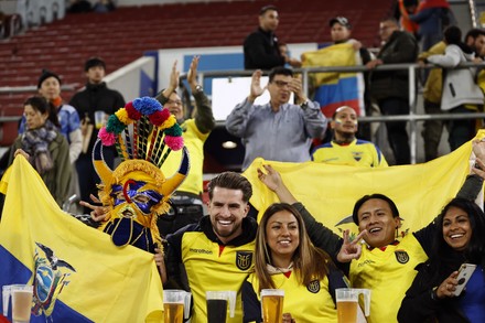 Dusseldorf Fans Ecuador During International Friendly Editorial Stock