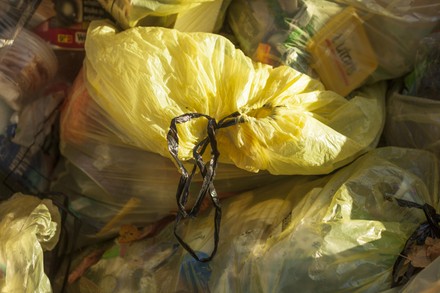 750 Plastic Debris Stock Pictures Editorial Images And Stock Photos   Shutterstock 13622560c 