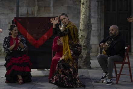 24 Dia mundial del flamenco Stock Pictures, Editorial Images and Stock ...