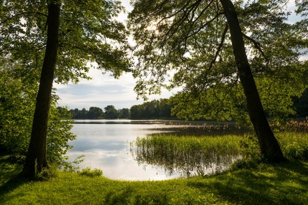 Schaalsee Near Seedorf Unesco Biosphere Reserve Editorial Stock Photo ...