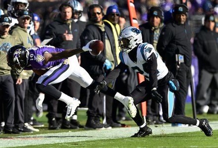 Baltimore, United States. 20th Nov, 2022. Baltimore Ravens wide receiver  Demarcus Robinson (10) signals a first down over the Carolina Panthers  during the first half at M&T Bank Stadium in Baltimore, Maryland