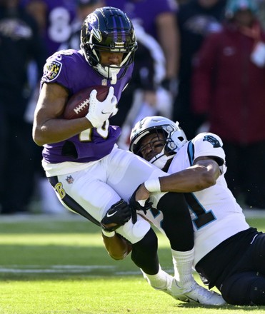 NFL: Nov 21 Baltimore Ravens Vs Carolina Panthers Editorial Photo