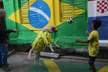 Brazil Dog Jersey or Ruffle Dress – Soccer Cup 2026 | Custom Pet Soccer Shirt ⚽️🐾
