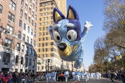 Bluey Balloon Moves Through 96th Annual Editorial Stock Photo - Stock ...