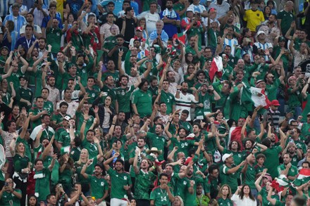 Mexico Fans Editorial Stock Photo - Stock Image | Shutterstock