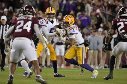 Lsu Tigers Mascot Mike Performing On Editorial Stock Photo - Stock ...