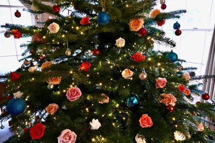 Great rooms decorated for christmas