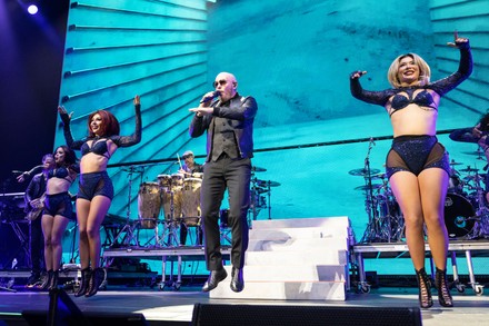 2 000 Pitbull In Concert Stock Pictures Editorial Images And Stock   Shutterstock 13648423ak 