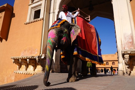 Indian Mahout Rides Painted Elephant Historical Editorial Stock Photo ...