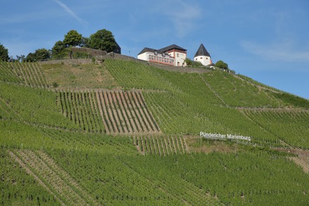 500 Lower rhineland Stock Pictures, Editorial Images and Stock Photos ...