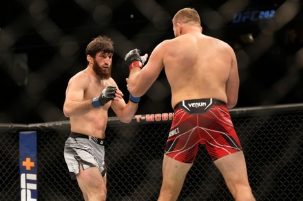 250 Blachowicz Stock Pictures, Editorial Images and Stock Photos