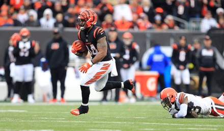 Cincinnati Bengals Running Back Samaje Perine Editorial Stock Photo - Stock  Image