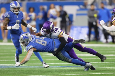 Detroit Lions Tight End Shane Zylstra Editorial Stock Photo - Stock ...