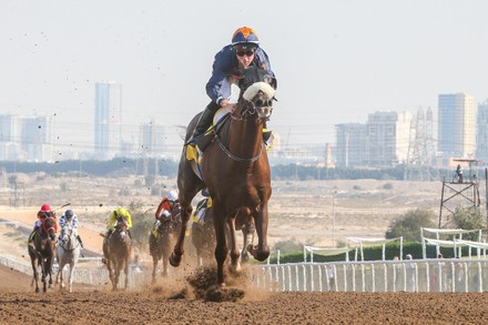 __COUNT__ Horse Racing, Jebel, Ali Dubai, United Arab Emirates - 17 Dec ...